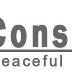 whizconsulting